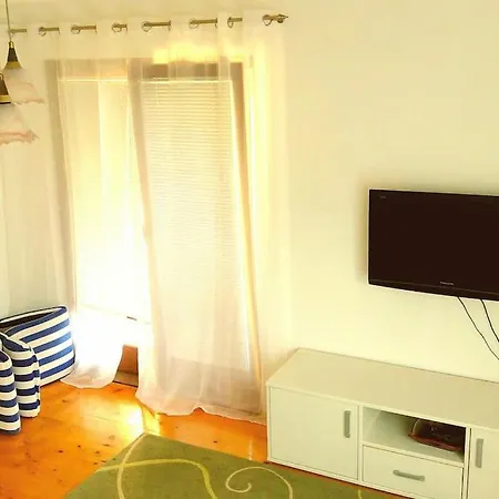 Two Separate On The First Floor And The Attic Apartment Pazaric