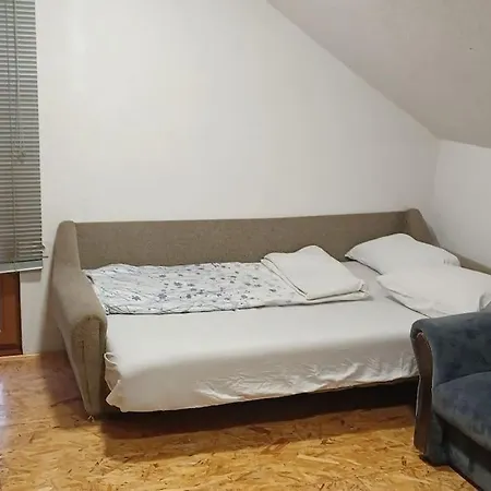 Two Separate On The First Floor And The Attic Apartament *
