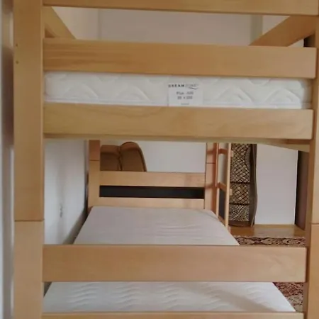 Two Separate On The First Floor And The Attic Apartament Pazaric